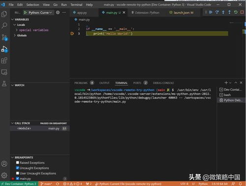 一秒圈粉无数软件开发工程师 vscode